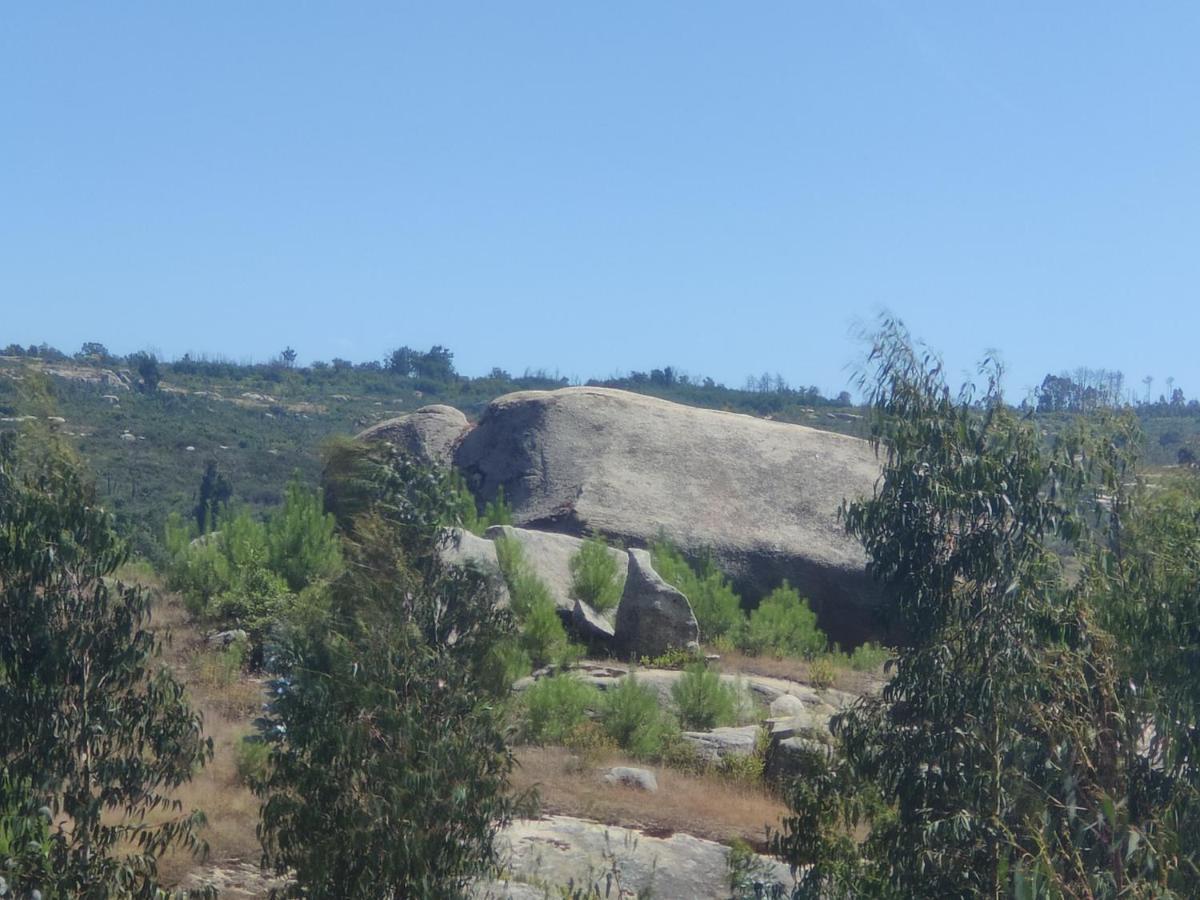 Апартаменты Quinta Da Adarnela Lagares da Beira Экстерьер фото